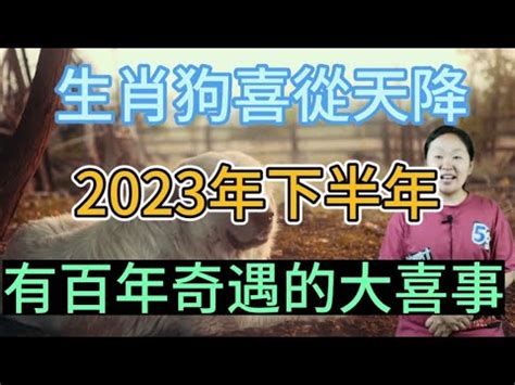 屬狗適合方位|【82年屬狗風水樓層】82年屬狗買房子方位注意規避一些不吉方。